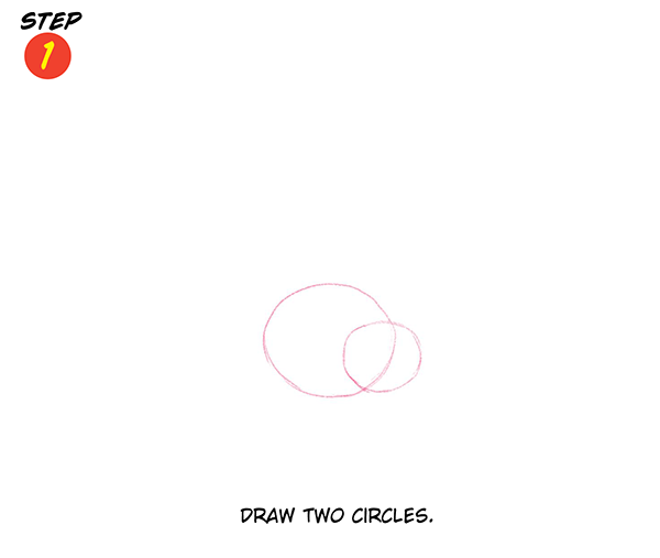 Katie Cook: How to Draw a Spider